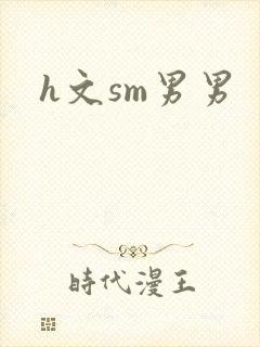 h文sm男男