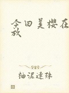 今田美樱在线播放