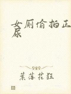 女厕偷拍正面尿尿封面