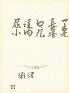 尿道口长了一个小肉疙瘩是怎么治疗