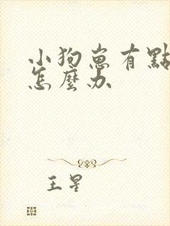 小狗崽有点拉稀怎么办