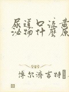 尿道口流黄色分泌物什么原因