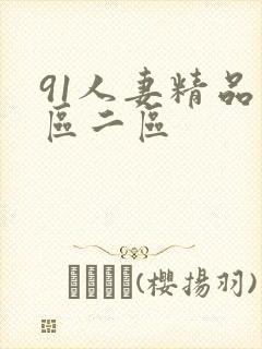 91人妻精品一区二区封面