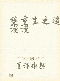 双重生之追妻路漫漫封面