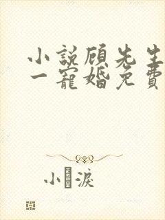 小说顾先生的第一宠婚免费