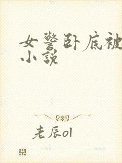 女警卧底被发现小说