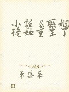 小说《联姻五年后她重生了》