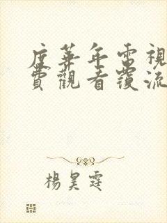 度华年电视剧免费观看覆流年