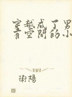 穿越成了男知青有空间的小说封面