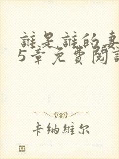 谁是谁的妻第15章免费阅读笔趣阁