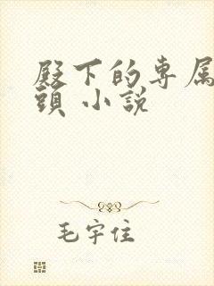 殿下的专属小丫头 小说封面