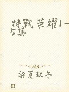 特战荣耀1—45集