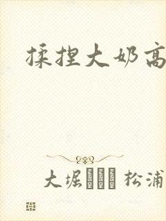 揉捏大奶高h