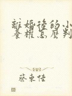 离婚后的小孩抚养权怎么判