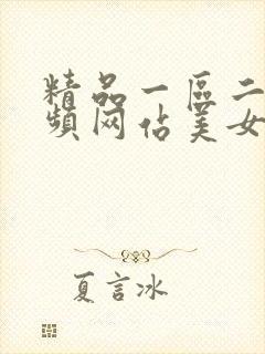 精品一区二区视频网站美女