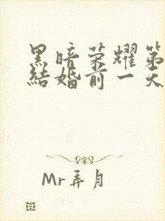 黑暗荣耀第二季结婚前一天封面