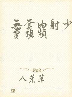 无套内射少妇免费视频