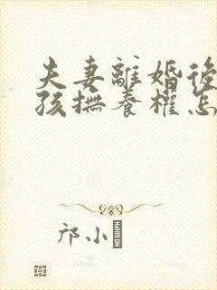 夫妻离婚后两小孩抚养权怎争取