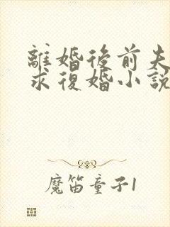 离婚后前夫哭着求复婚小说全部章节封面