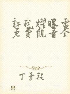 许我耀眼电视剧免费观看全部15集