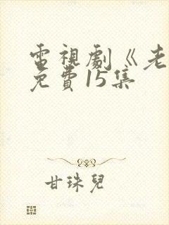 电视剧《老舅》免费15集封面