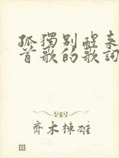 孤独别醒来是哪首歌的歌词