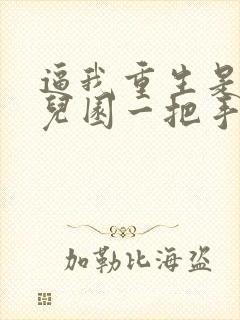 逼我重生是吧幼儿园一把手小说在线