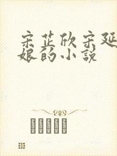 宋芷欣宋延昌柳娘的小说