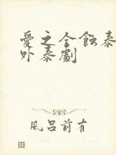 爱之全蚀泰剧番外泰剧