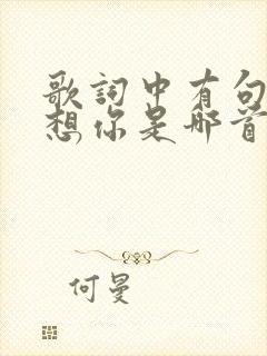 歌词中有句想你想你是哪首歌