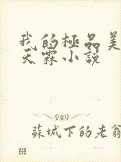 我的极品美女陈天霖小说