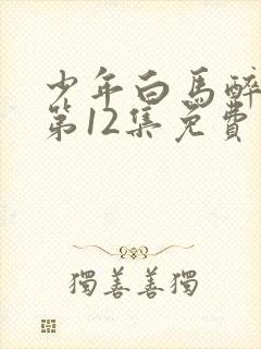 少年白马醉春风第12集免费观看