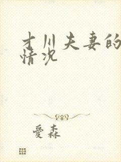 才川夫妻的恋爱情况封面