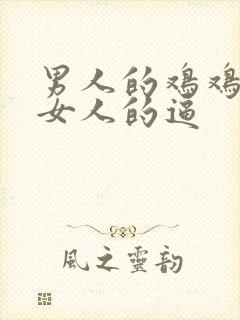 男人的鸡鸡插进女人的逼封面