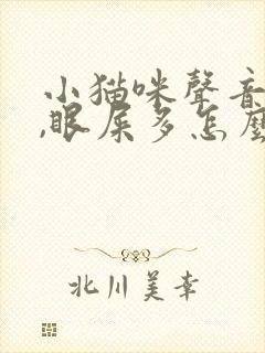 小猫咪声音嘶哑,眼屎多怎么回事