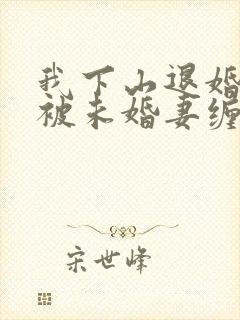 我下山退婚,却被未婚妻缠上封面