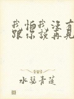 我怕我没有机会跟你说再见是什么歌封面