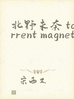 北野未奈 torrent magnet