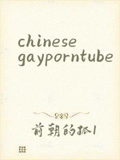 chinesegayporntube