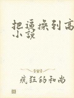 把逼操到高潮的小说封面