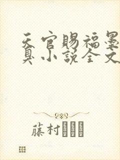 天官赐福墨香铜臭小说全文免费看