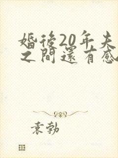 婚后20年夫妻之间还有感情吗