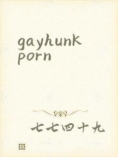 gayhunkporn