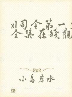 xl司令第一季全集在线观看完整版免费