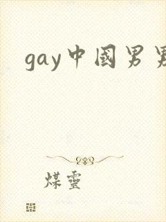 gay中国男男