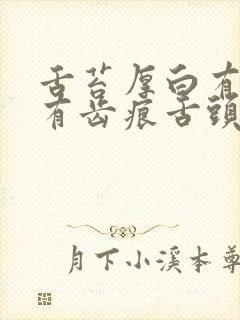 舌苔厚白有裂纹有齿痕舌头尖