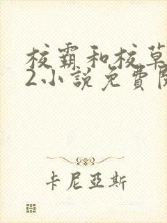 校霸和校草1v2小说免费阅读封面