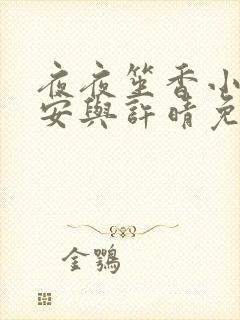 夜夜笙香小说陈安与许晴免费阅读