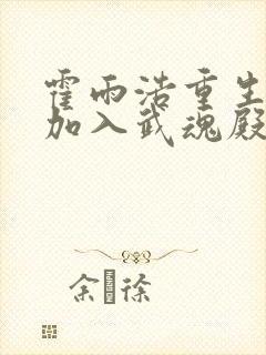 霍雨浩重生斗一加入武魂殿