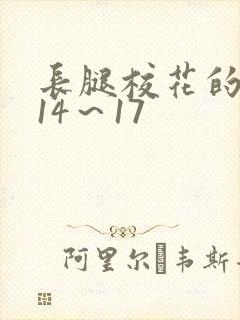 长腿校花的呻吟14～17